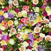 fotomural-de-flores-mural-de-pared-de-flores-de-primavera-92742612